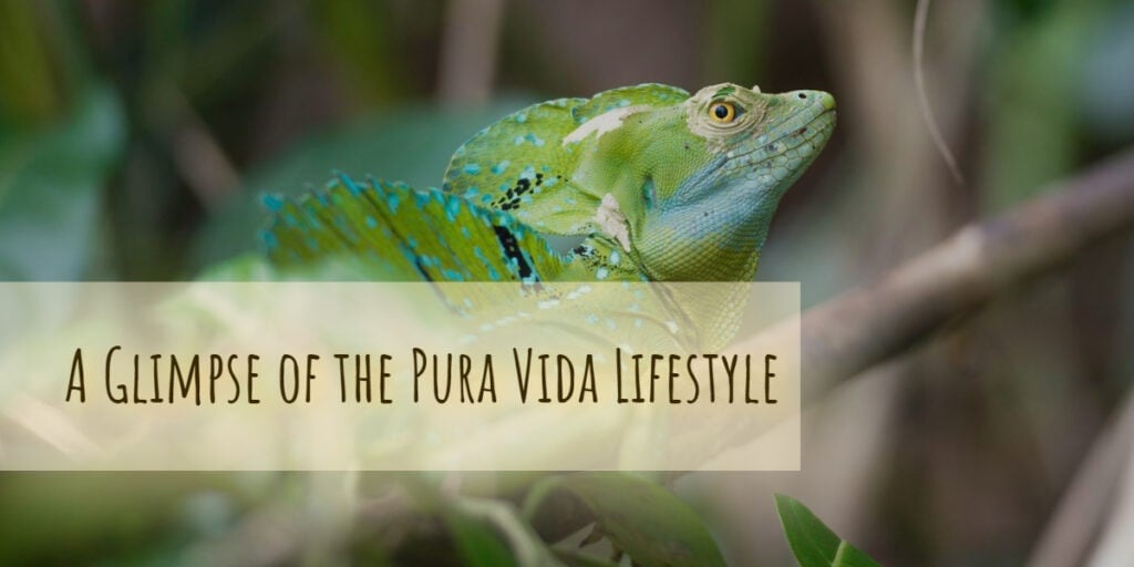 A glimpse of the Pura Vida lifestyle