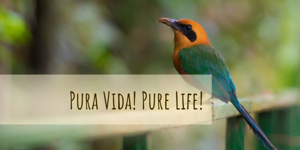 Pura Vida! Pure life!