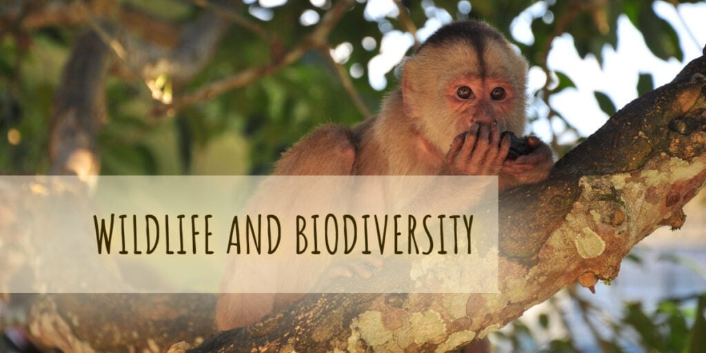Wild life and biodiversity