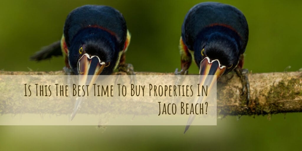 Is this the best time to buy properties in Jaco beach