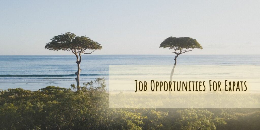 Job Opportunities For Expats