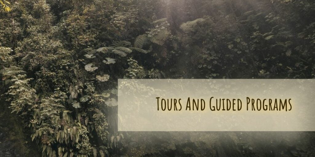 Tours And Guided Programs