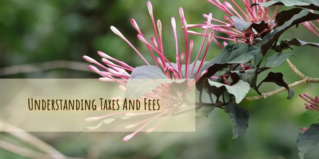 Understanding Taxes And Fees