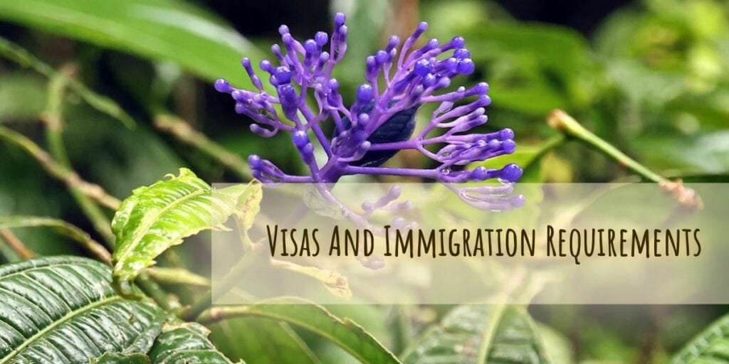 Visas And Immigration Requirements